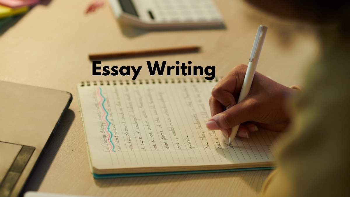 Essay Sample